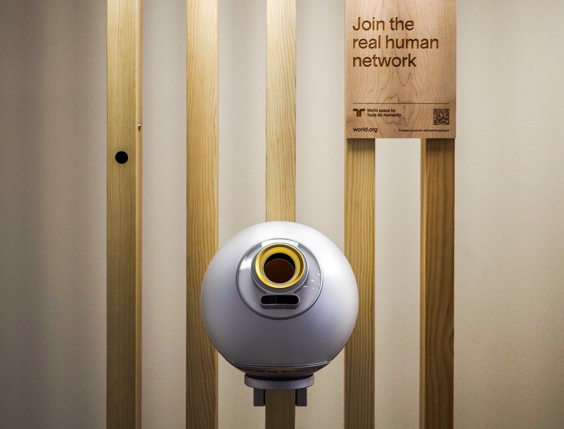 Hvis du stirrer lenge nok ned i orb-grunnen vil orb-grunnen stirre tilbake i deg. Foto: privat